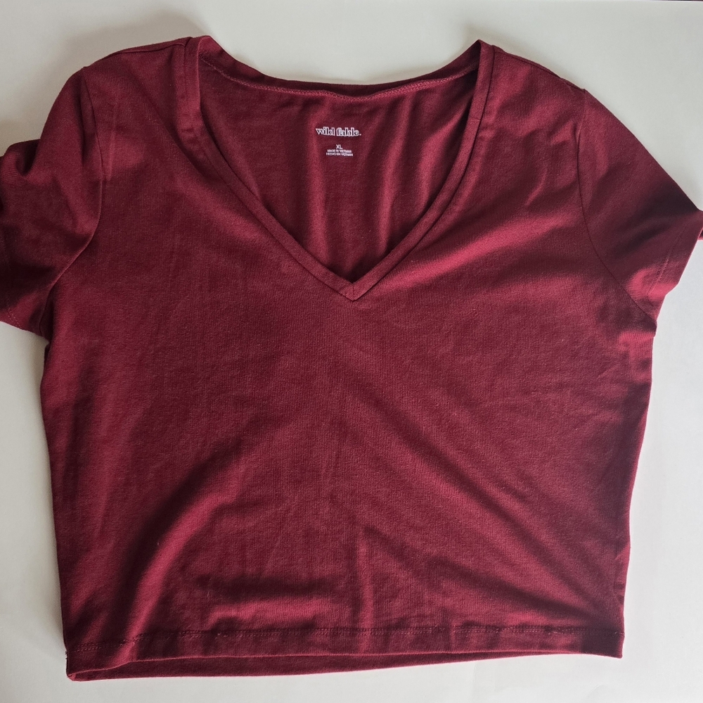 Wild Fable  V-Neck Crop Top